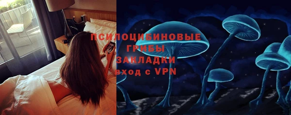 гидропоника Арсеньев