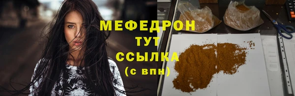 шишки Магас